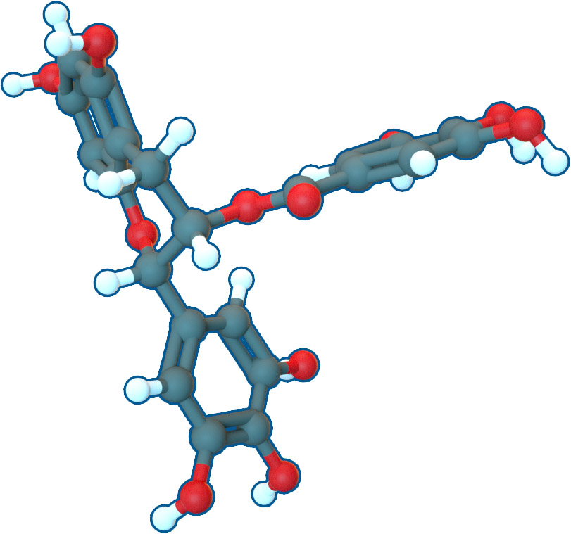 Image of Epigallocatechin gallate | C22H18O11 | Supreme Pharmatech